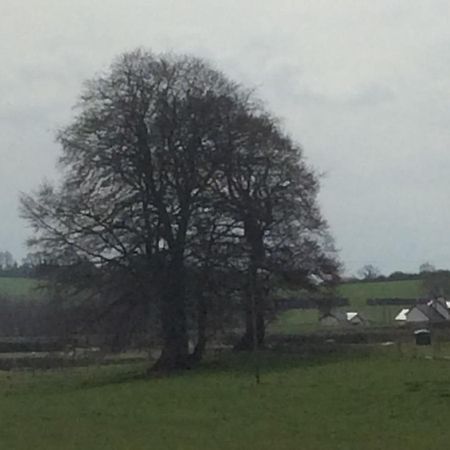 Rathgillen Lodge Nobber Bagian luar foto
