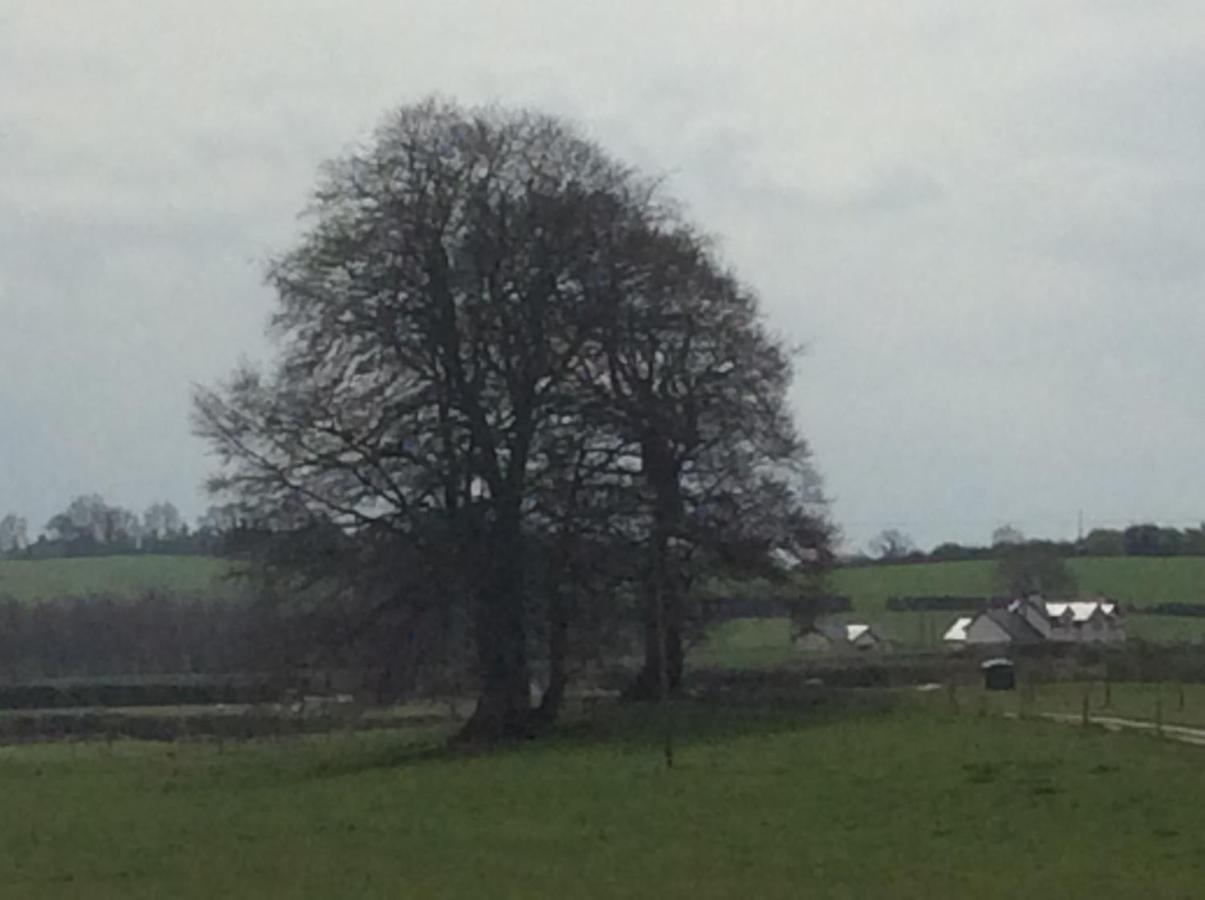 Rathgillen Lodge Nobber Bagian luar foto